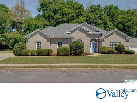 Homes For Sale - 117 Brokenrein Drive<br/> Meridianville, AL 35759