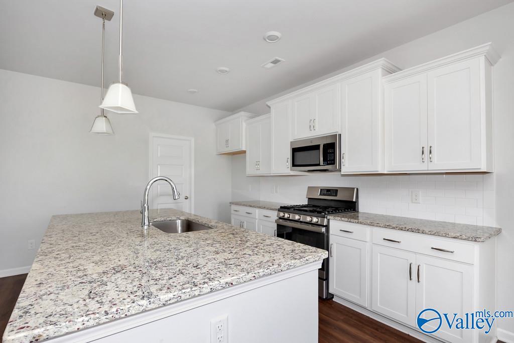 211 Portrait Street, Meridianville, Alabama image 12