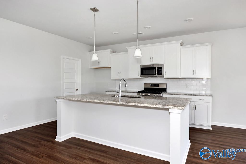 211 Portrait Street, Meridianville, Alabama image 11