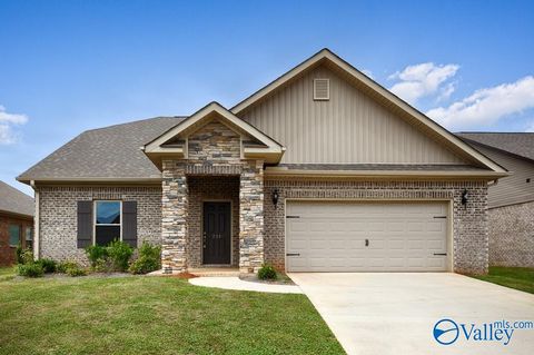 Homes For Sale - 211 Portrait Street<br/> Meridianville, AL 35759