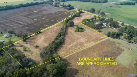 Vacant Land For Sale - 25744 County Road 14<br/> Lauderdale County, Florence, AL 35633