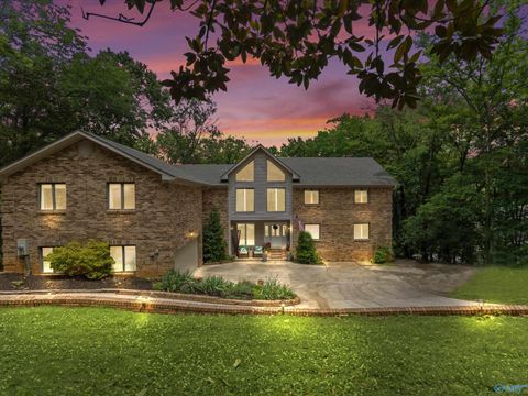 Photo of 10017 Torino Drive, Huntsville, AL 35803 (MLS # 21919389)