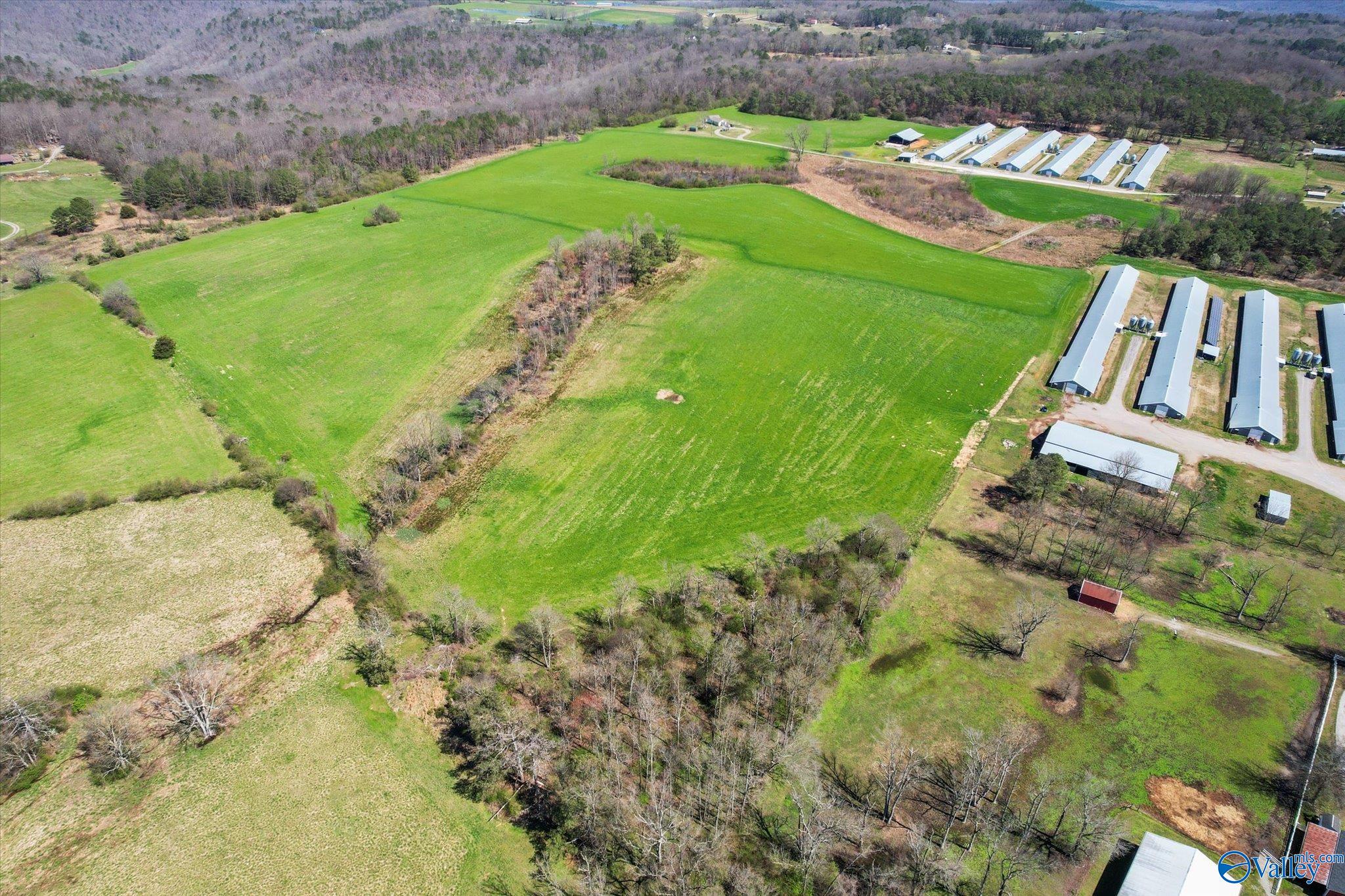 505 Brock Chapel Road, Union Grove, Alabama image 5