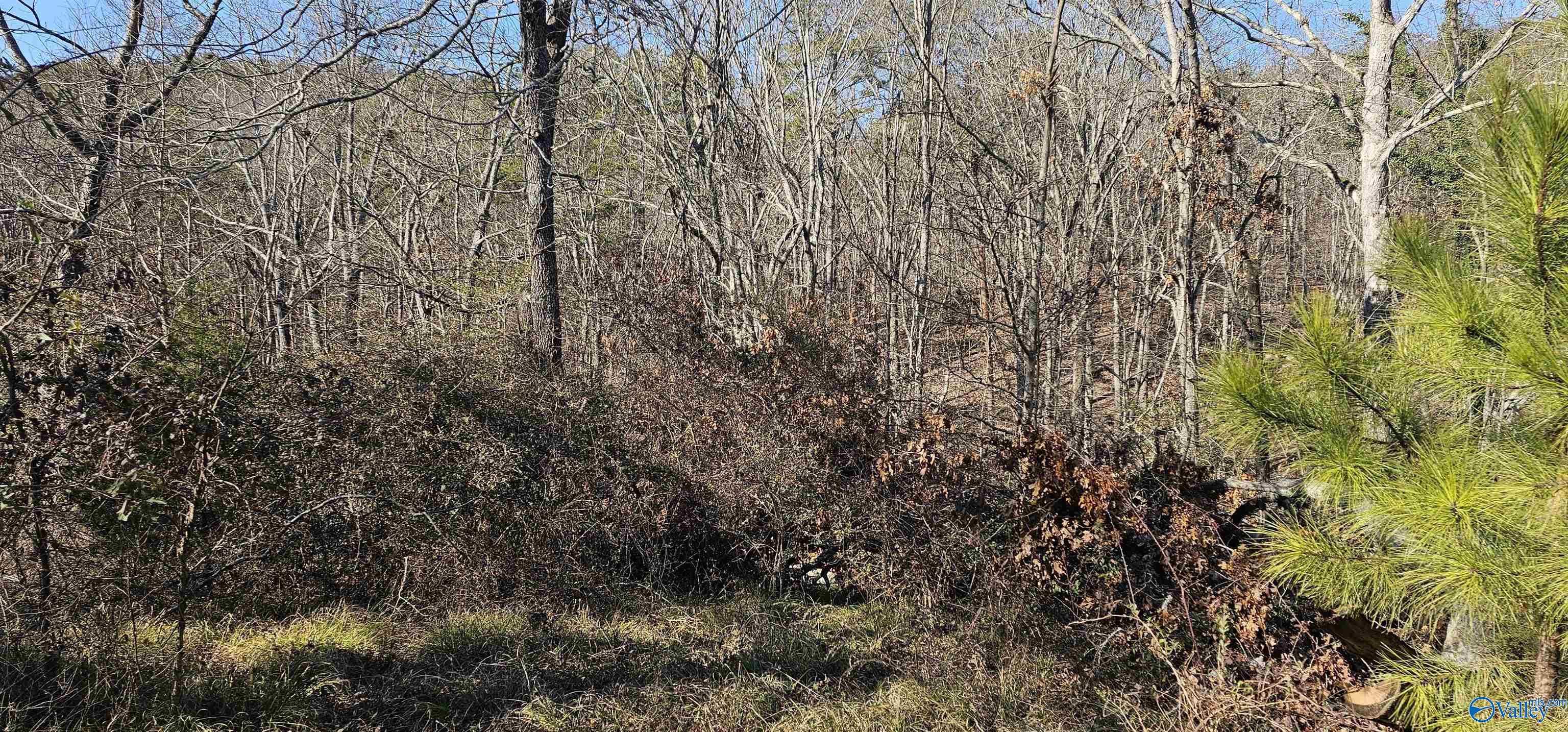 .36+/- Acre Lot Park Road, Fort Payne, Alabama image 10