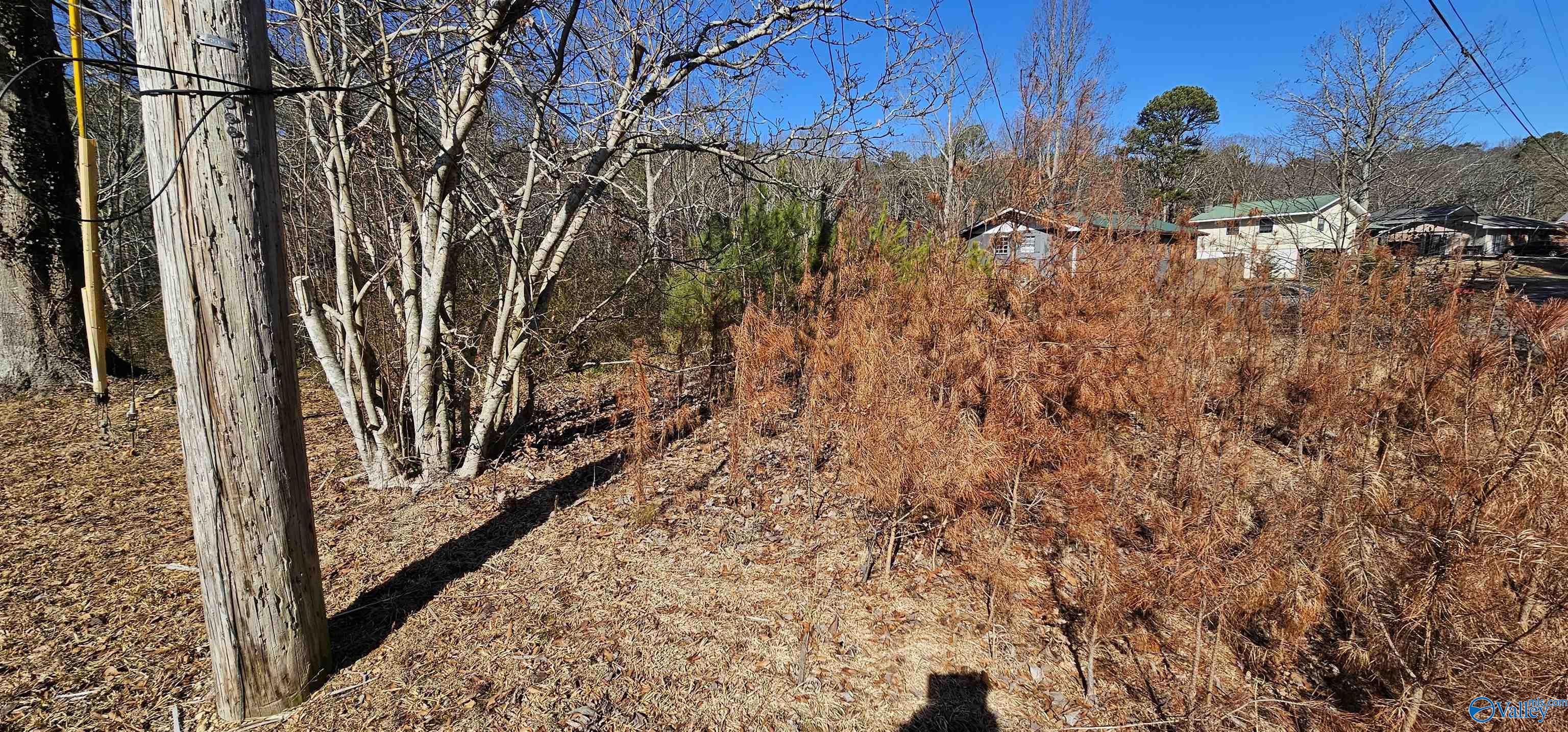 .36+/- Acre Lot Park Road, Fort Payne, Alabama image 13