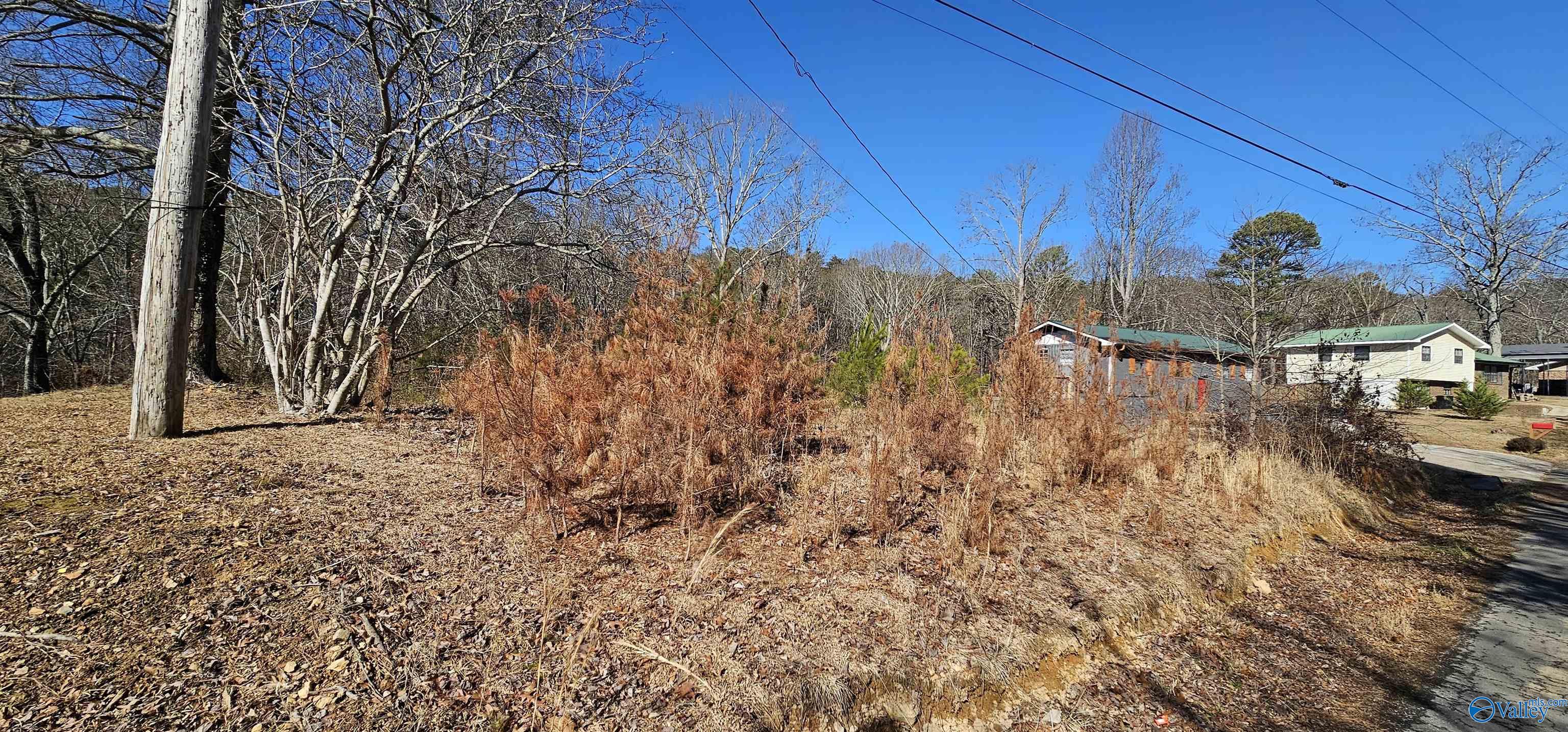 .36+/- Acre Lot Park Road, Fort Payne, Alabama image 14