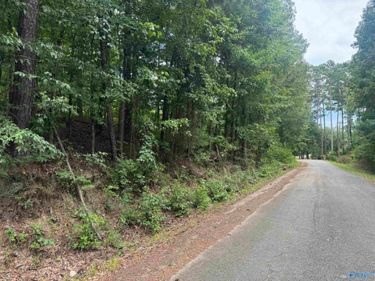 15 DAVIS PL, GADSDEN, AL 35904 - Image a632ca05f618f551a8109fe3e1d9f65a/3564992775