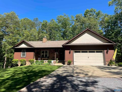Photo of 3300 Hardinger Road, Fort Payne, AL 35968 (MLS # 21913033)