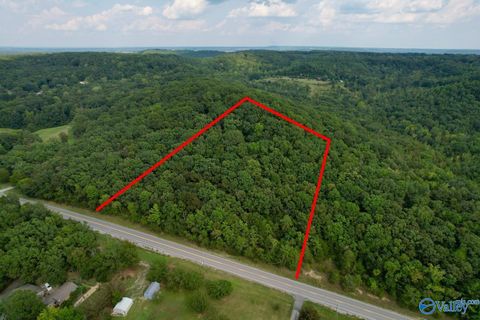 Vacant Land For Sale - 15ACRES Highway 101<br/> Town Creek, AL 35672