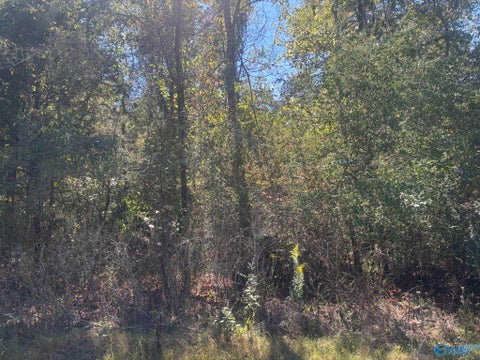 Vacant Land For Sale - 29 Iris Lane<br/> Jackson County, Bridgeport, AL 35740