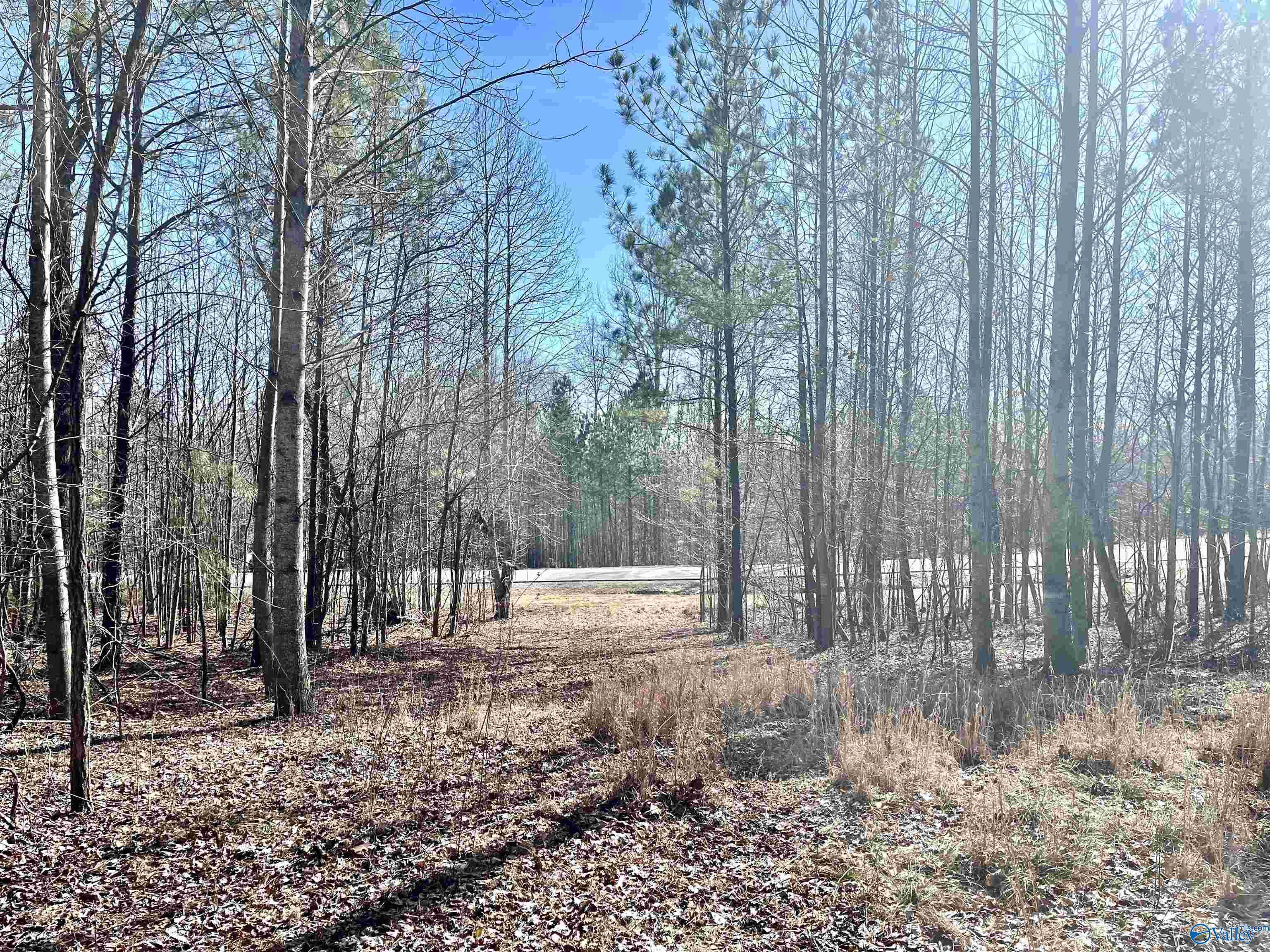 .59 Crockett Pointe, Jasper, Tennessee image 2