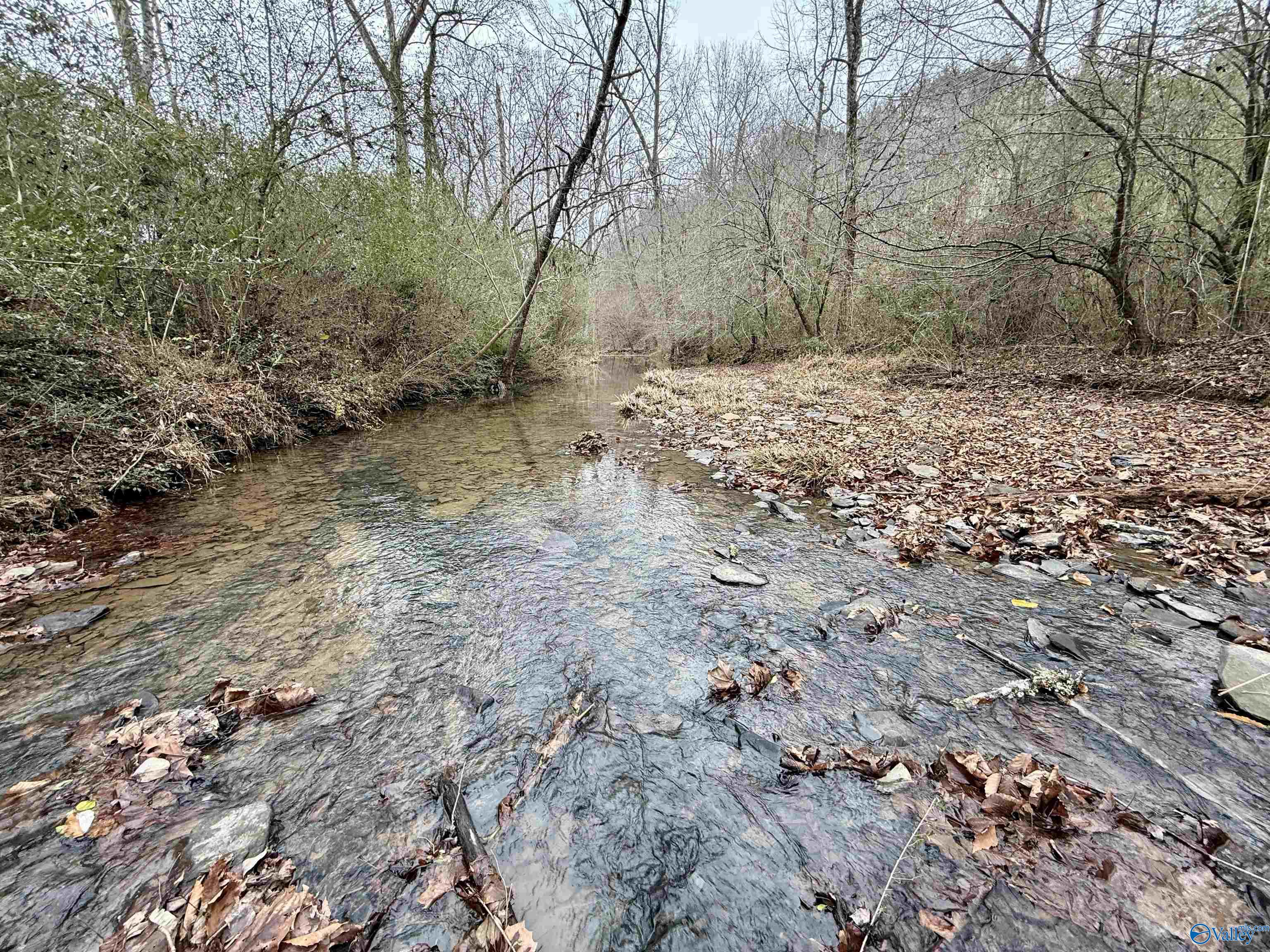 5680 County Road 223