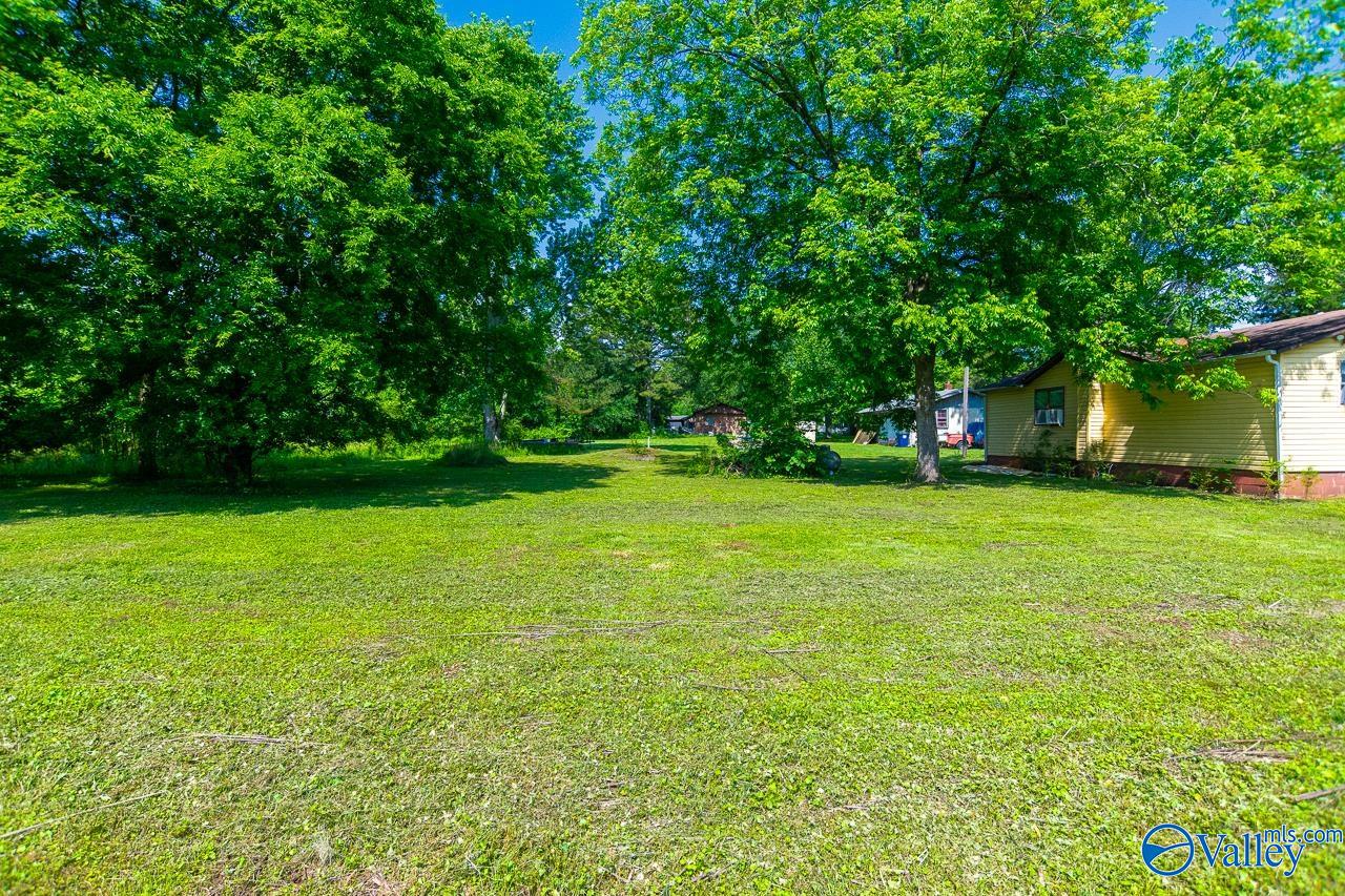 140 Stewart Road, Toney, Alabama image 9