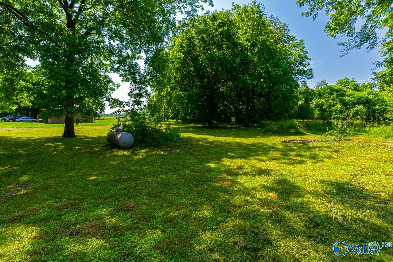 140 Stewart Road, Toney, Alabama image 5