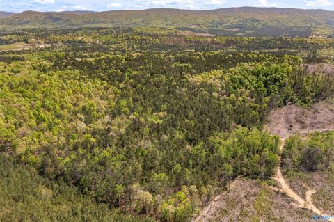 LOT 1 Pruitt Road Piedmont AL 36272