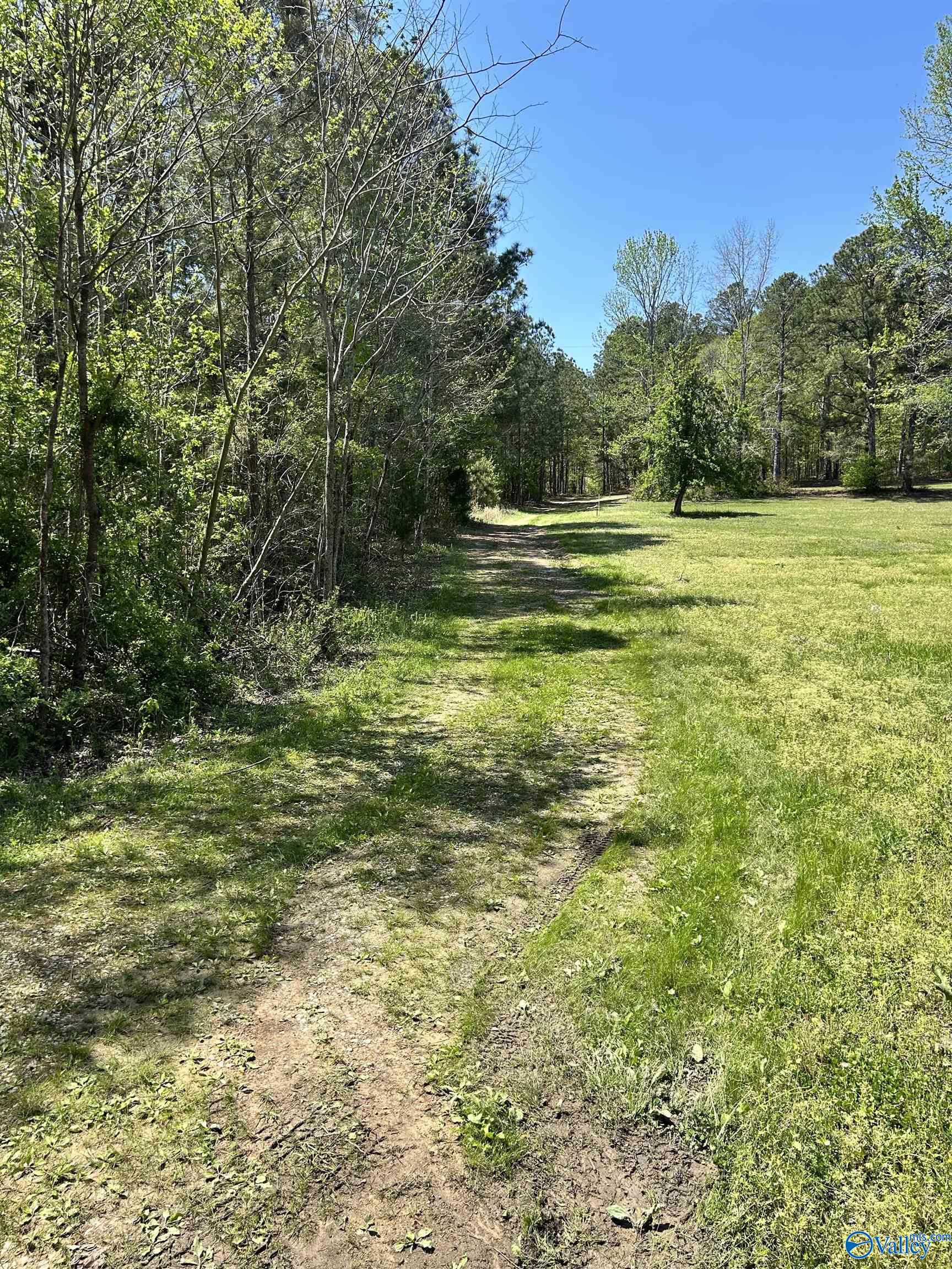 LOT 1 Pruitt Road