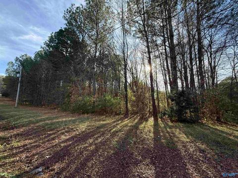 Vacant Land For Sale - LOT 21 Sweetwater Lane<br/> Etowah County, Rainbow City, AL 35906