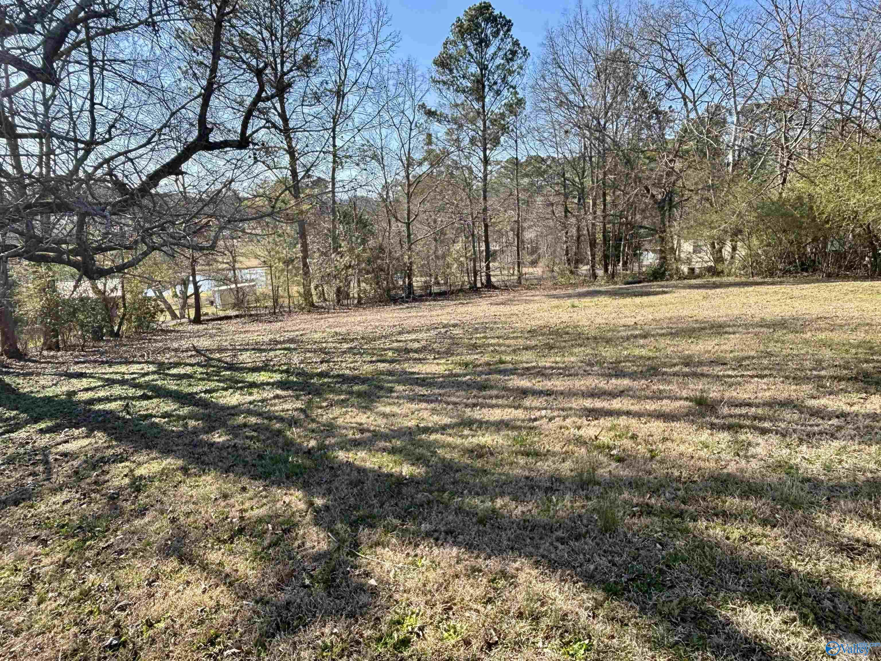 1700 Shelby Drive, Southside, Alabama image 12