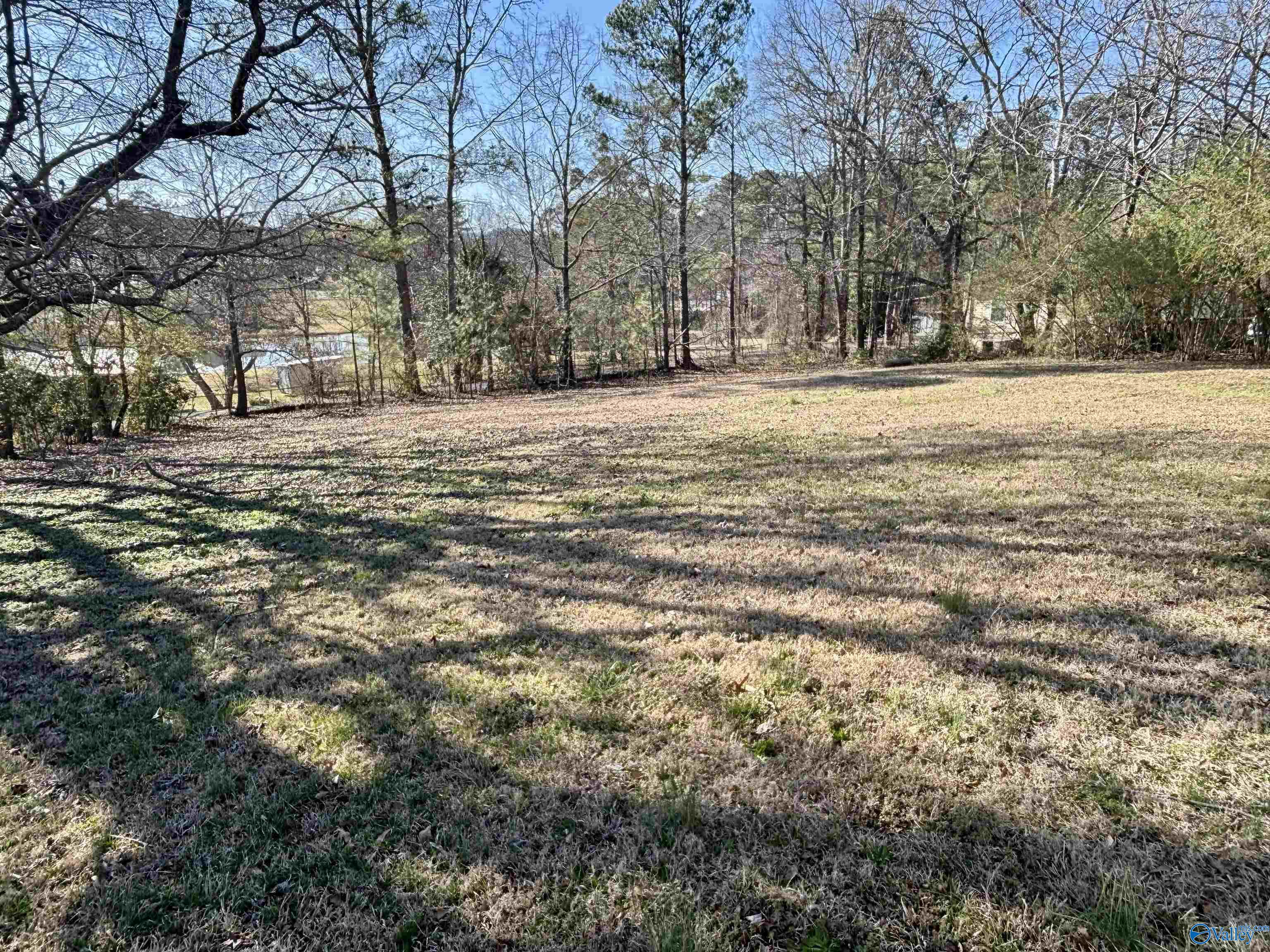 1700 Shelby Drive, Southside, Alabama image 11