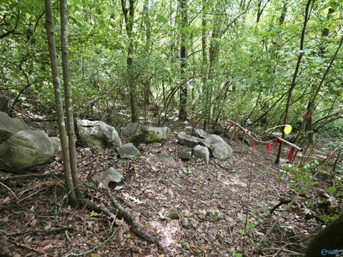 Vacant Land For Sale - 6321 Havenwood Drive<br/> Madison County, Huntsville, AL 35802