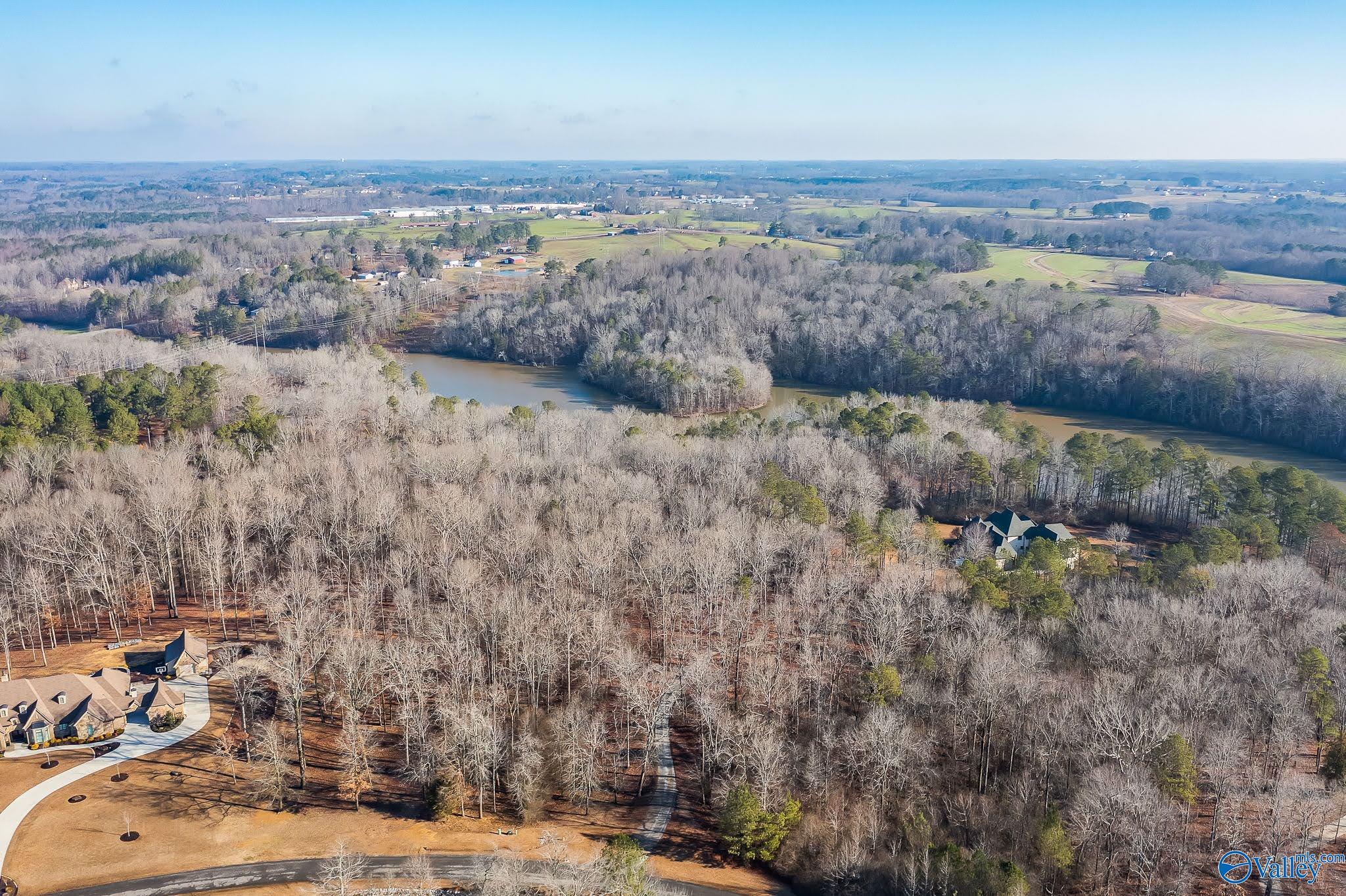 Lot 12 County Road 1539, Vinemont, Alabama image 14