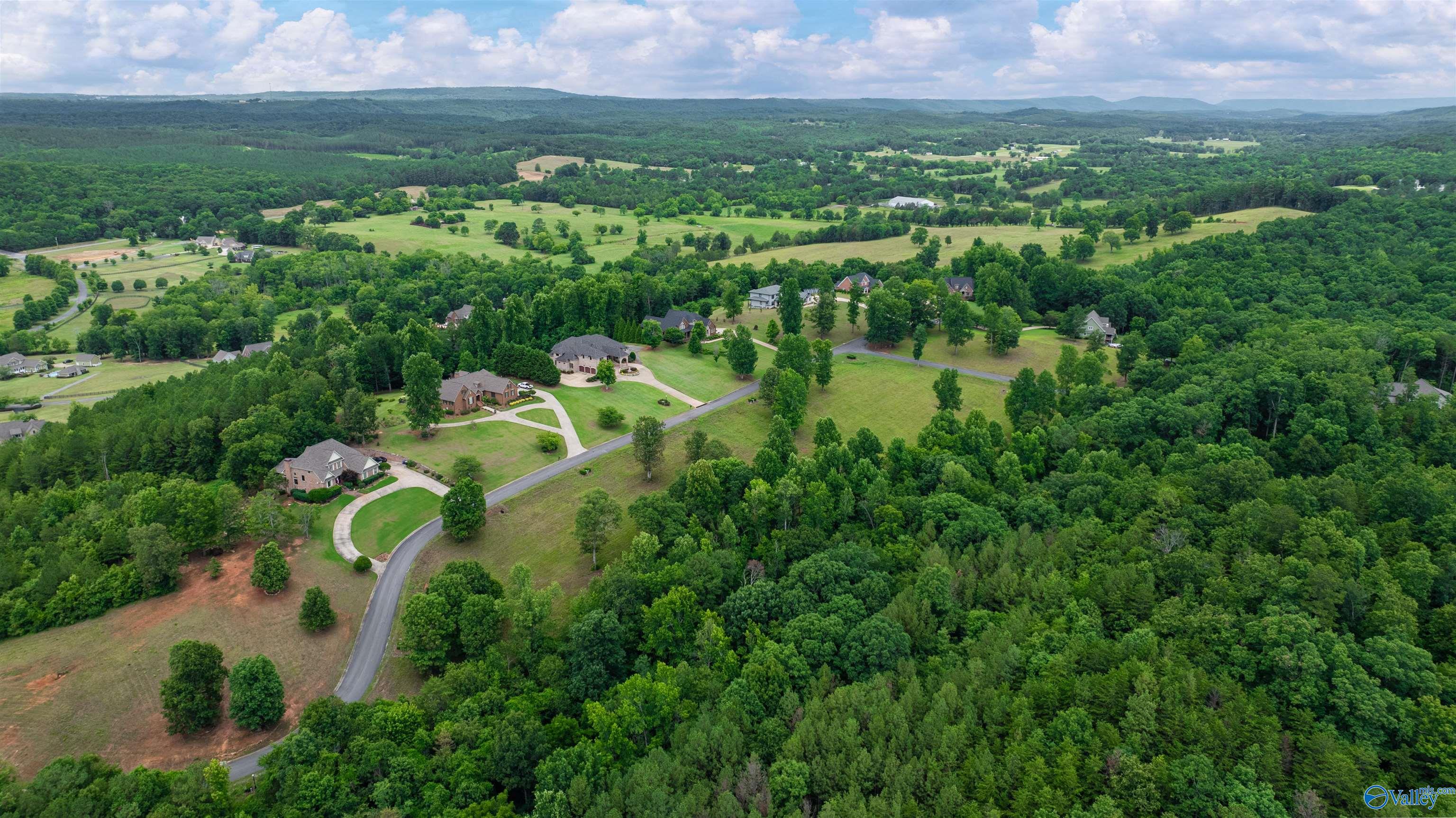 Lot 22 County Road 1027, Valley Head, Alabama image 5