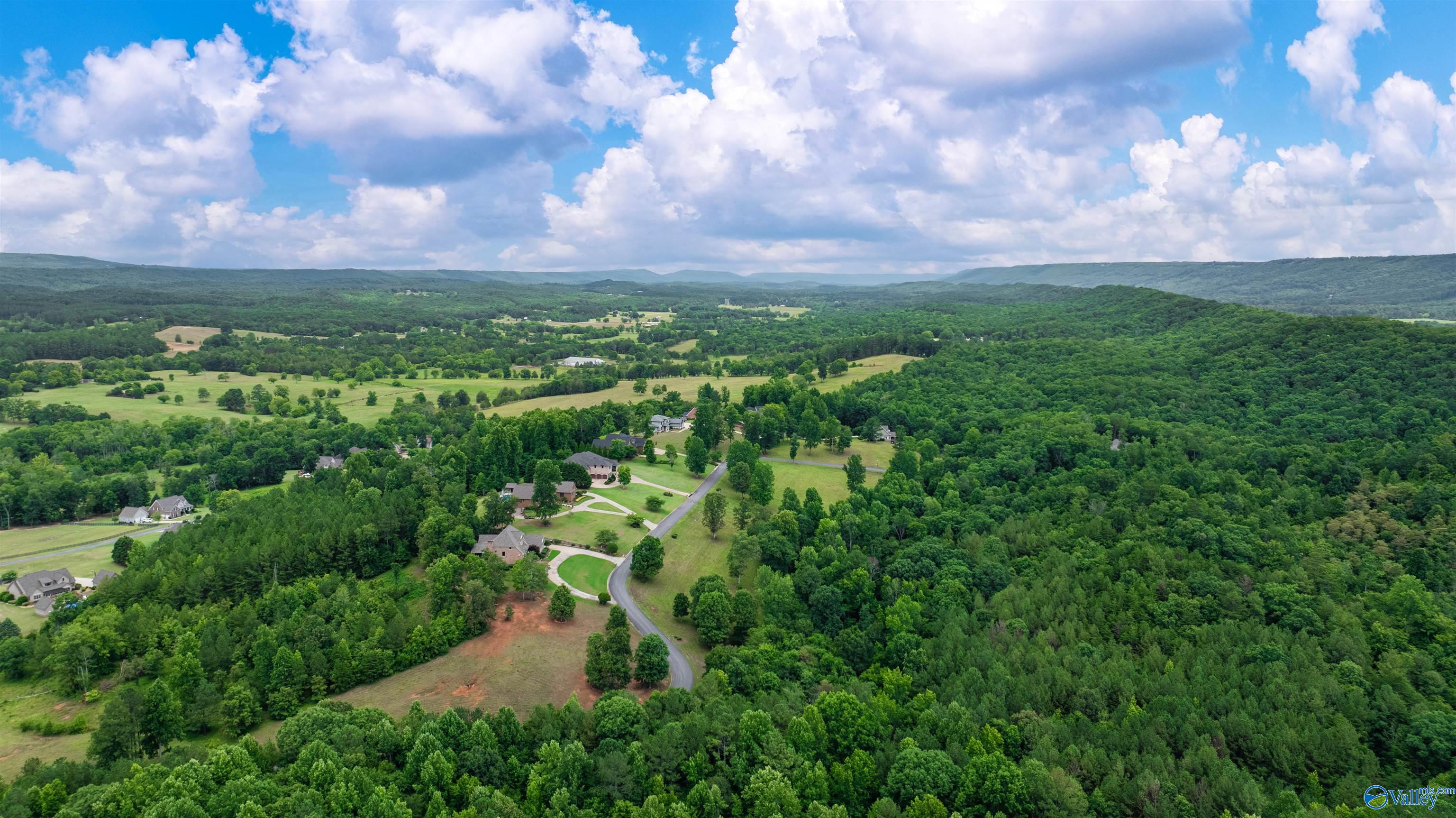 Lot 22 County Road 1027, Valley Head, Alabama image 6