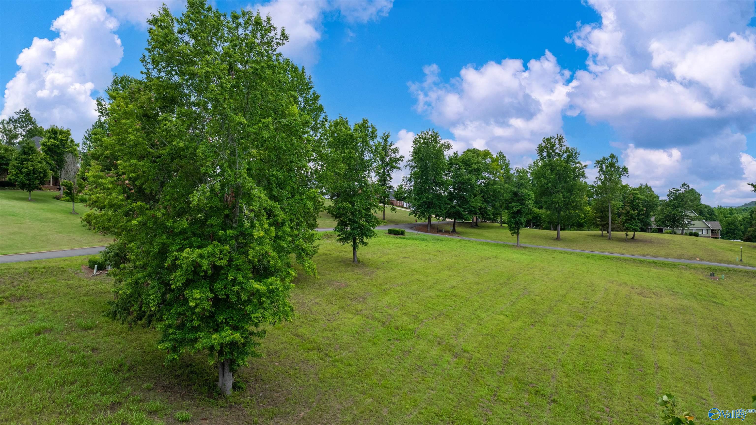 Lot 22 County Road 1027, Valley Head, Alabama image 15