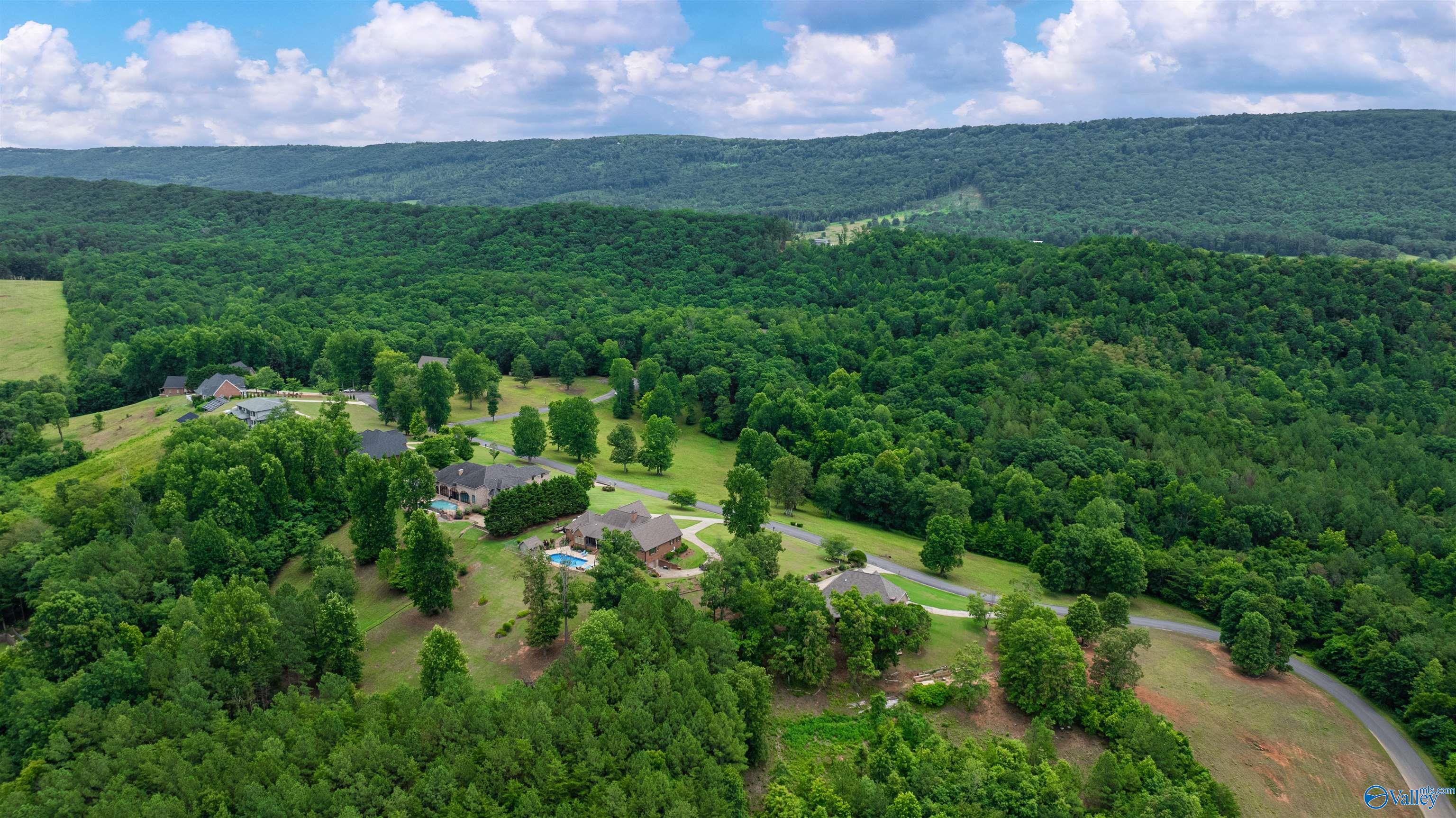 Lot 22 County Road 1027, Valley Head, Alabama image 7