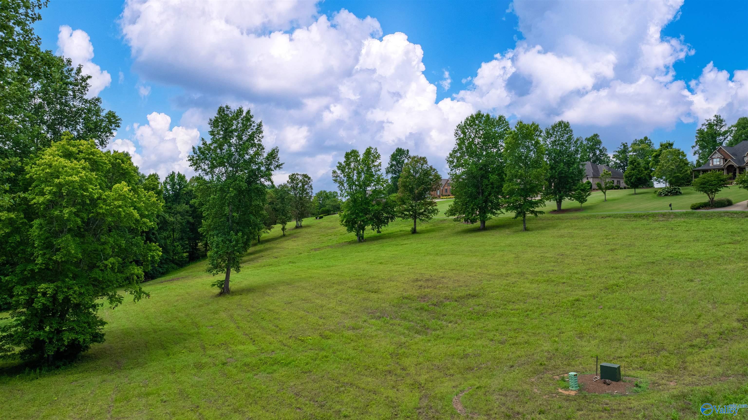 Lot 22 County Road 1027, Valley Head, Alabama image 17