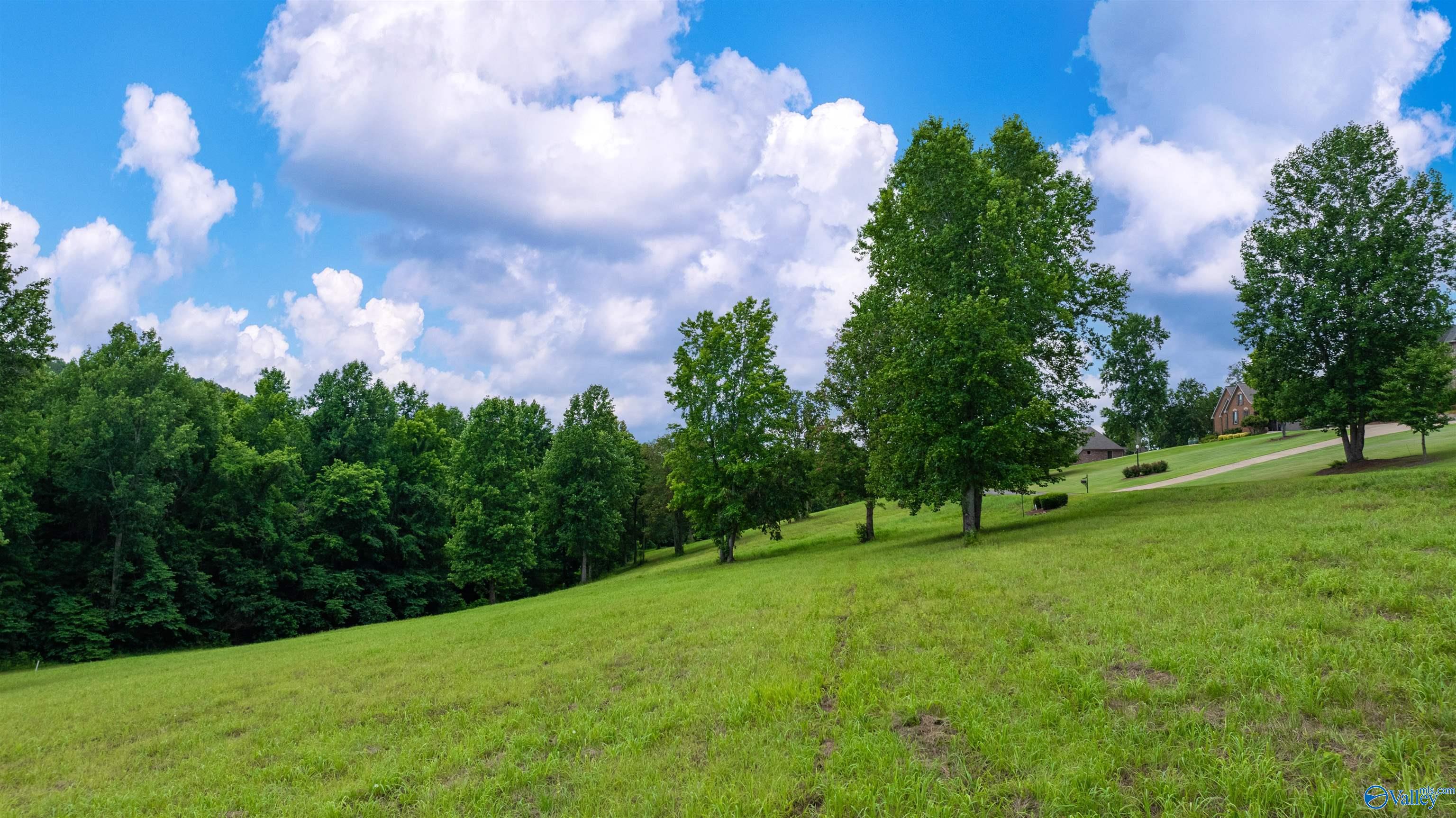Lot 22 County Road 1027, Valley Head, Alabama image 10