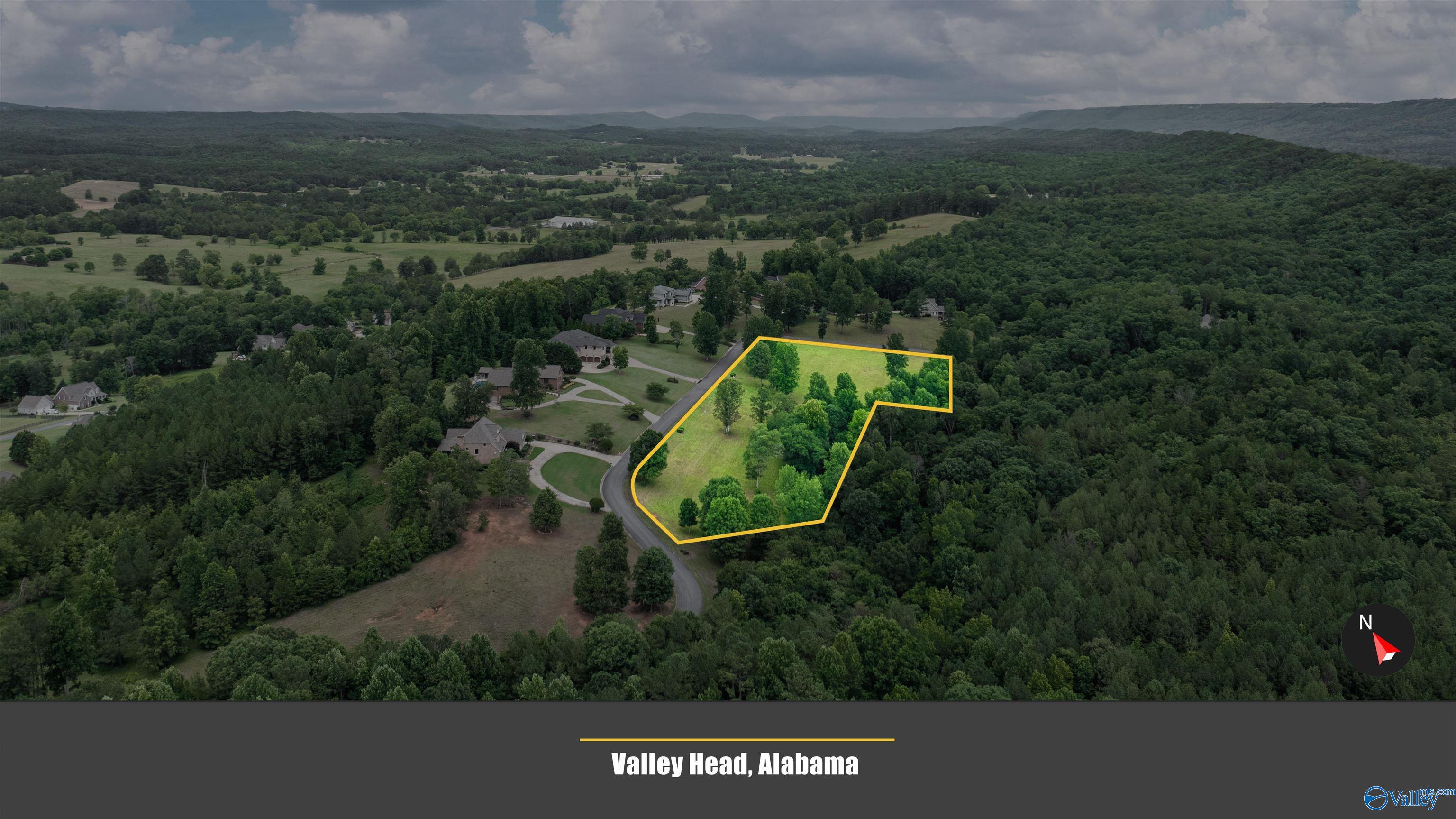 Lot 22 County Road 1027, Valley Head, Alabama image 16