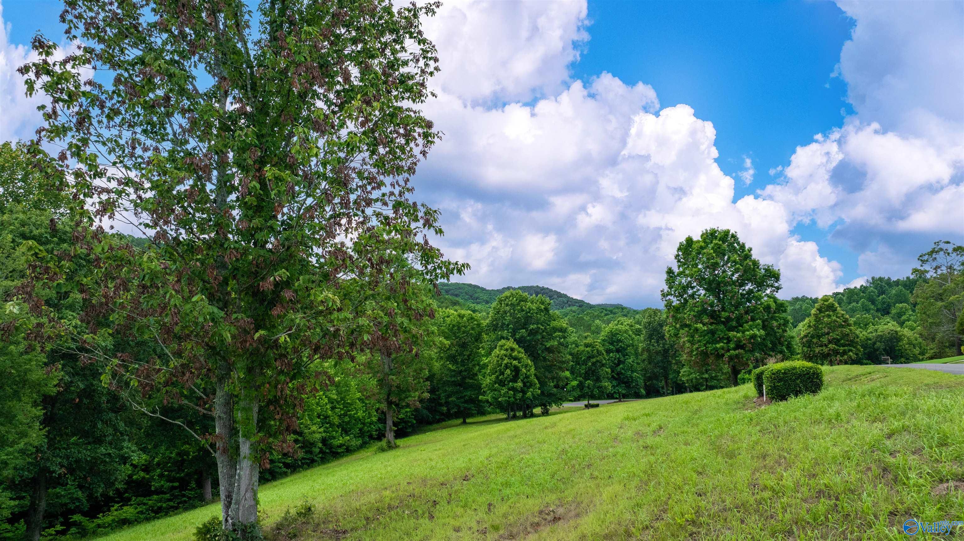 Lot 22 County Road 1027, Valley Head, Alabama image 13