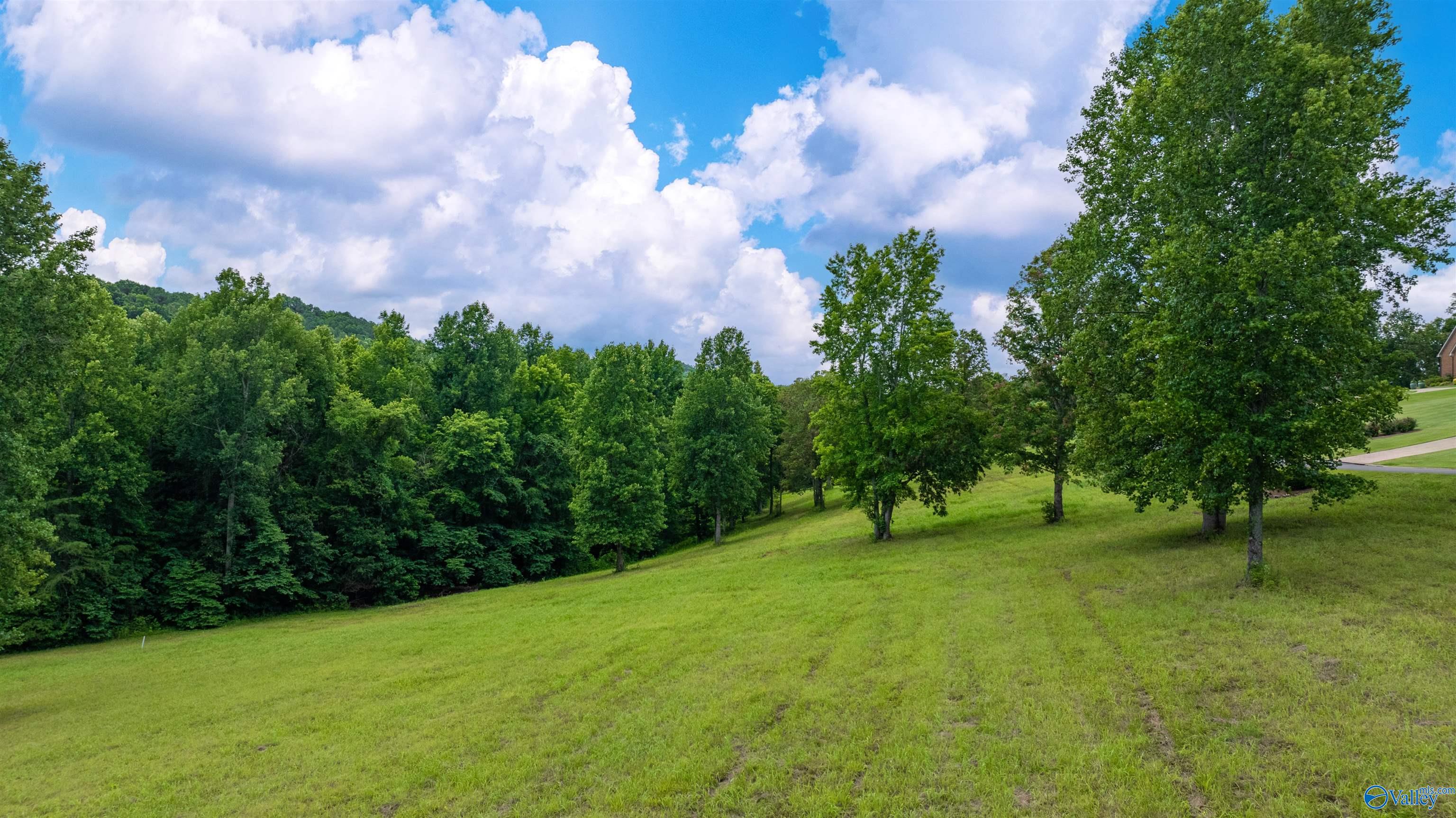 Lot 22 County Road 1027, Valley Head, Alabama image 2