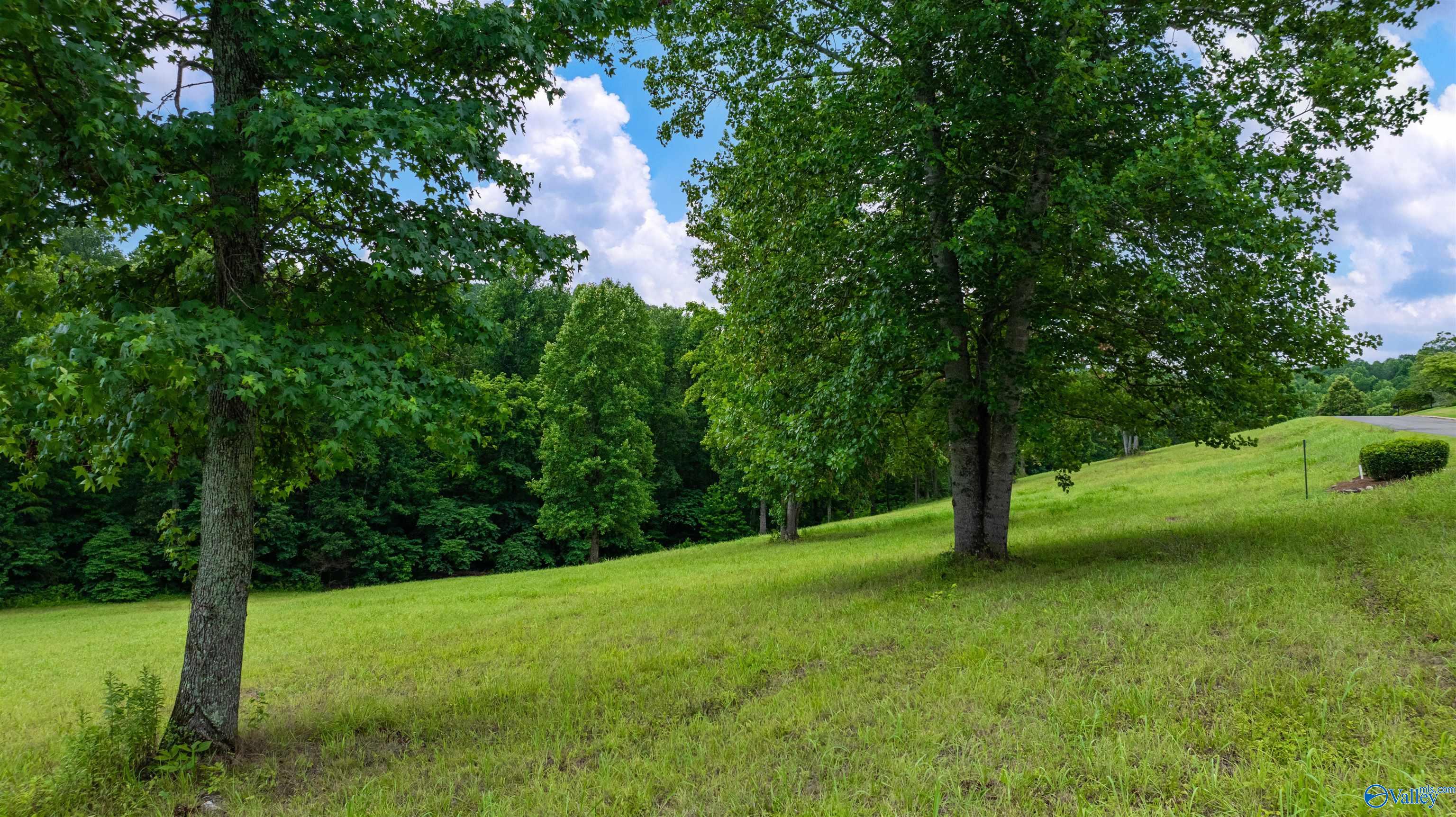 Lot 22 County Road 1027, Valley Head, Alabama image 11