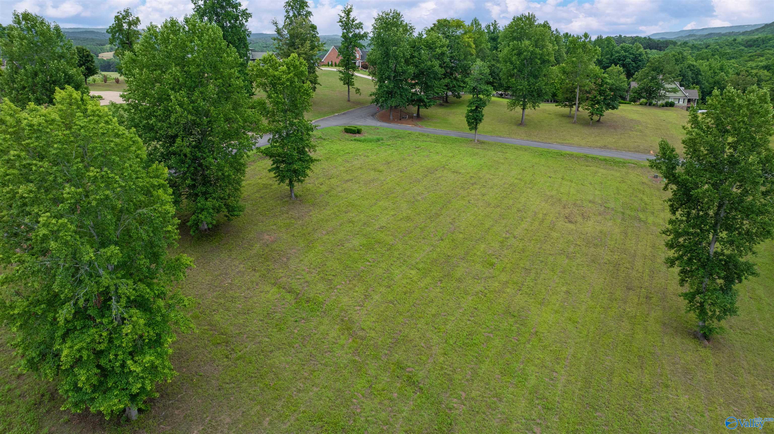 Lot 22 County Road 1027, Valley Head, Alabama image 4