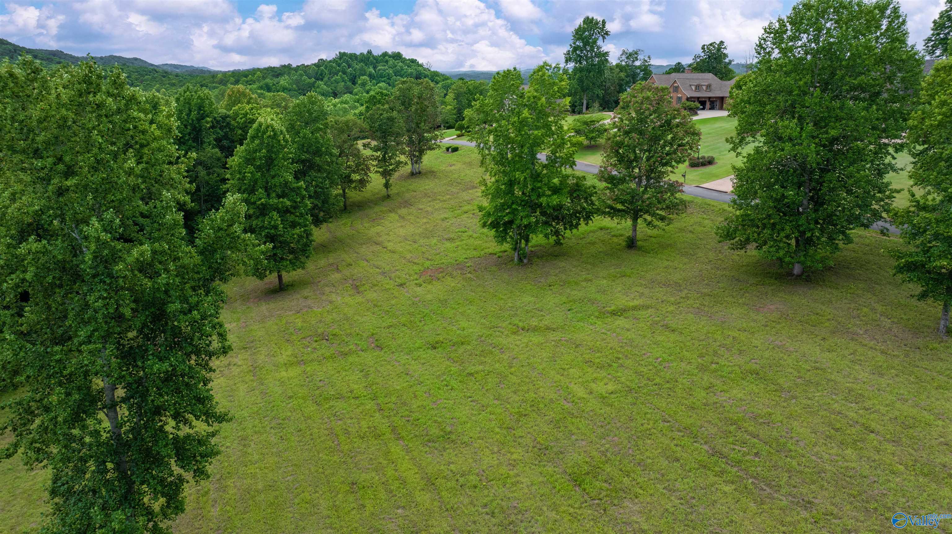 Lot 22 County Road 1027, Valley Head, Alabama image 3
