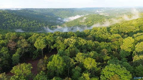 Vacant Land For Sale - 18 Paramount Drive<br/> Grant, AL 35747