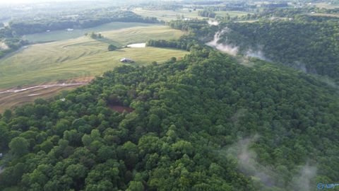 Vacant Land For Sale - 18 Paramount Drive<br/> Grant, AL 35747