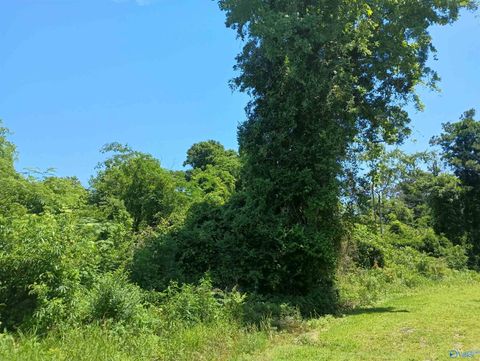 Vacant Land For Sale - 110 Morgan Street<br/> Etowah County, Gadsden, AL 35904