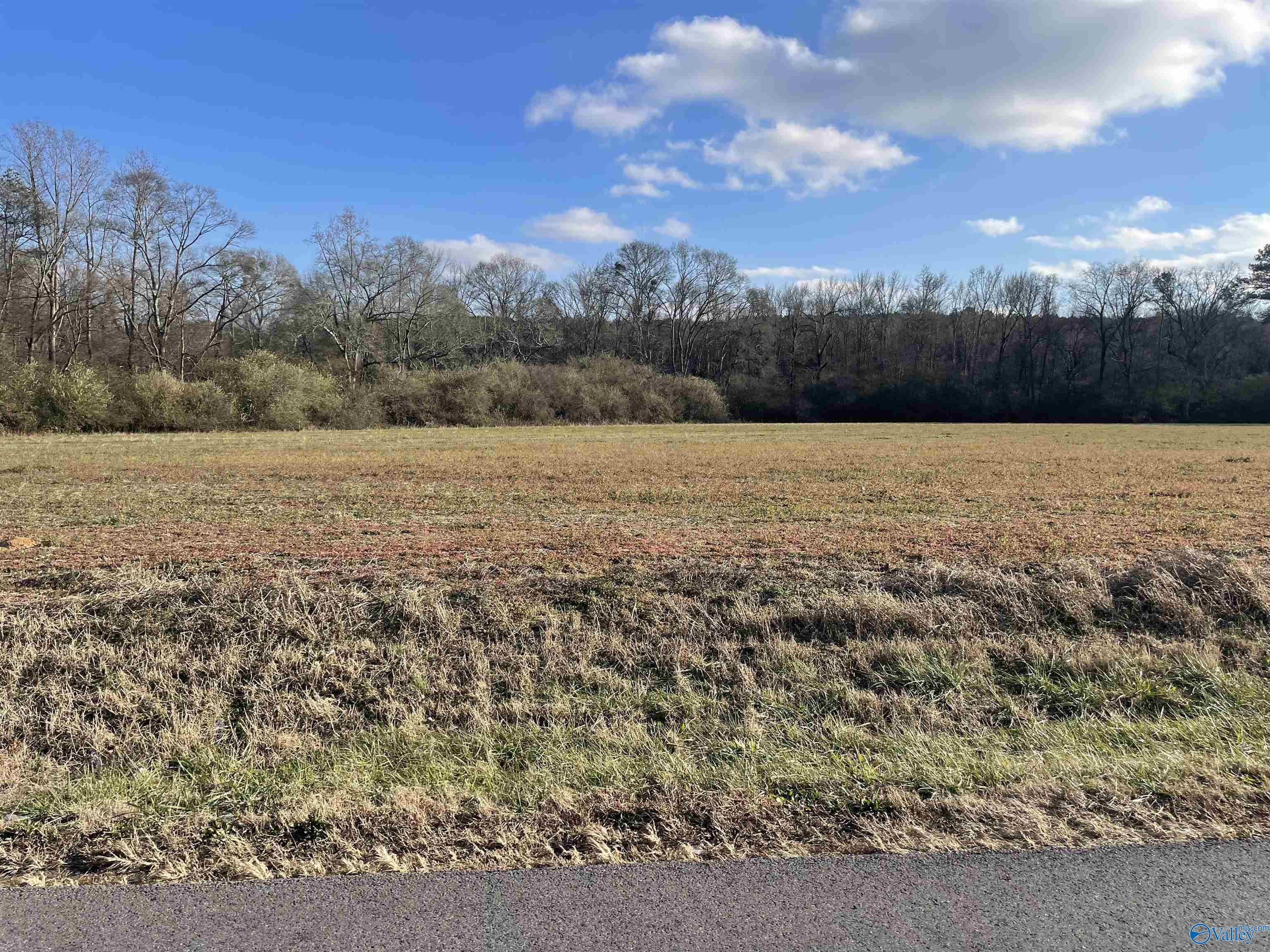 34.2 Acres Blessing Road, Boaz, Alabama image 1