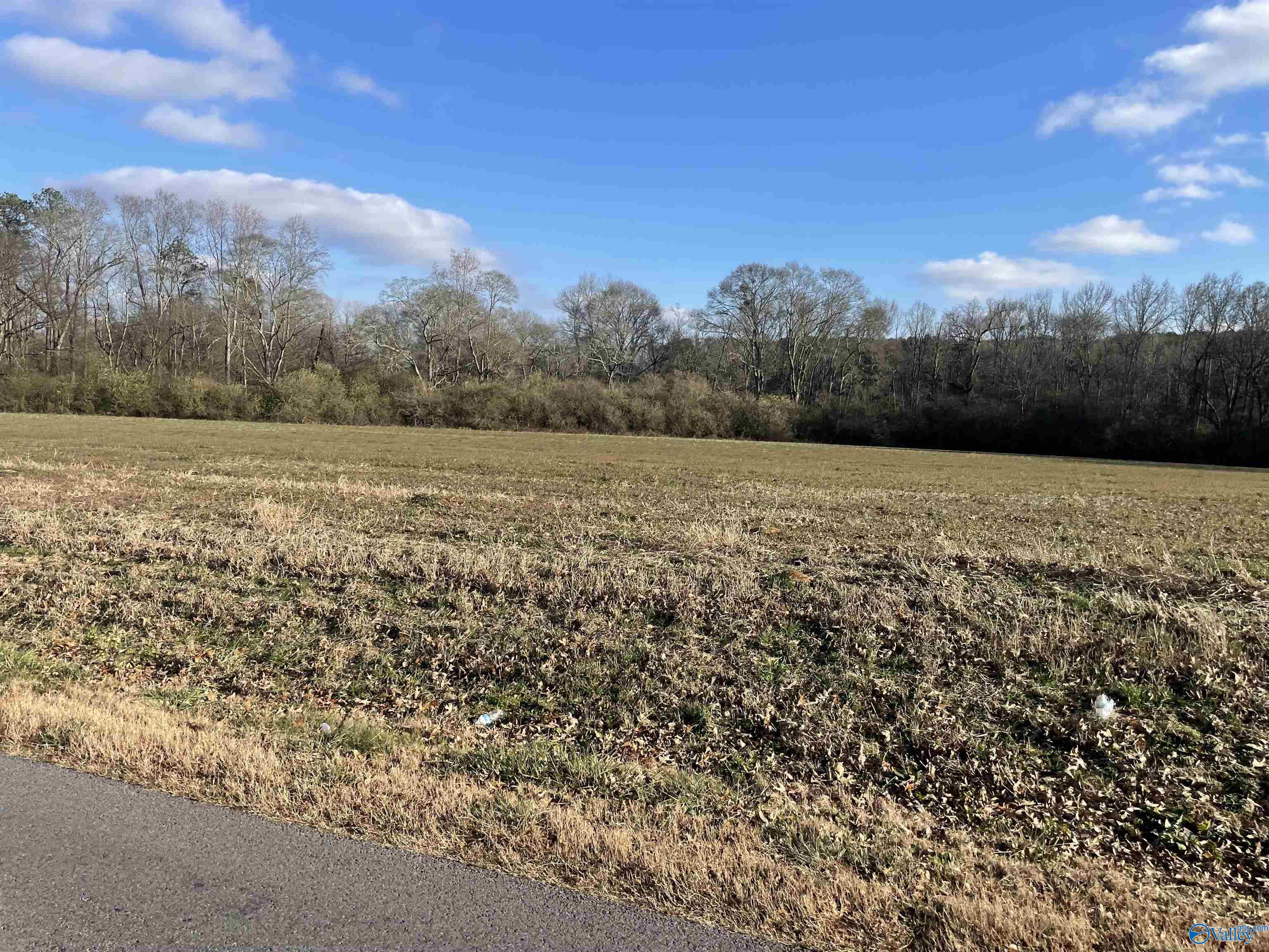 34.2 Acres Blessing Road, Boaz, Alabama image 2