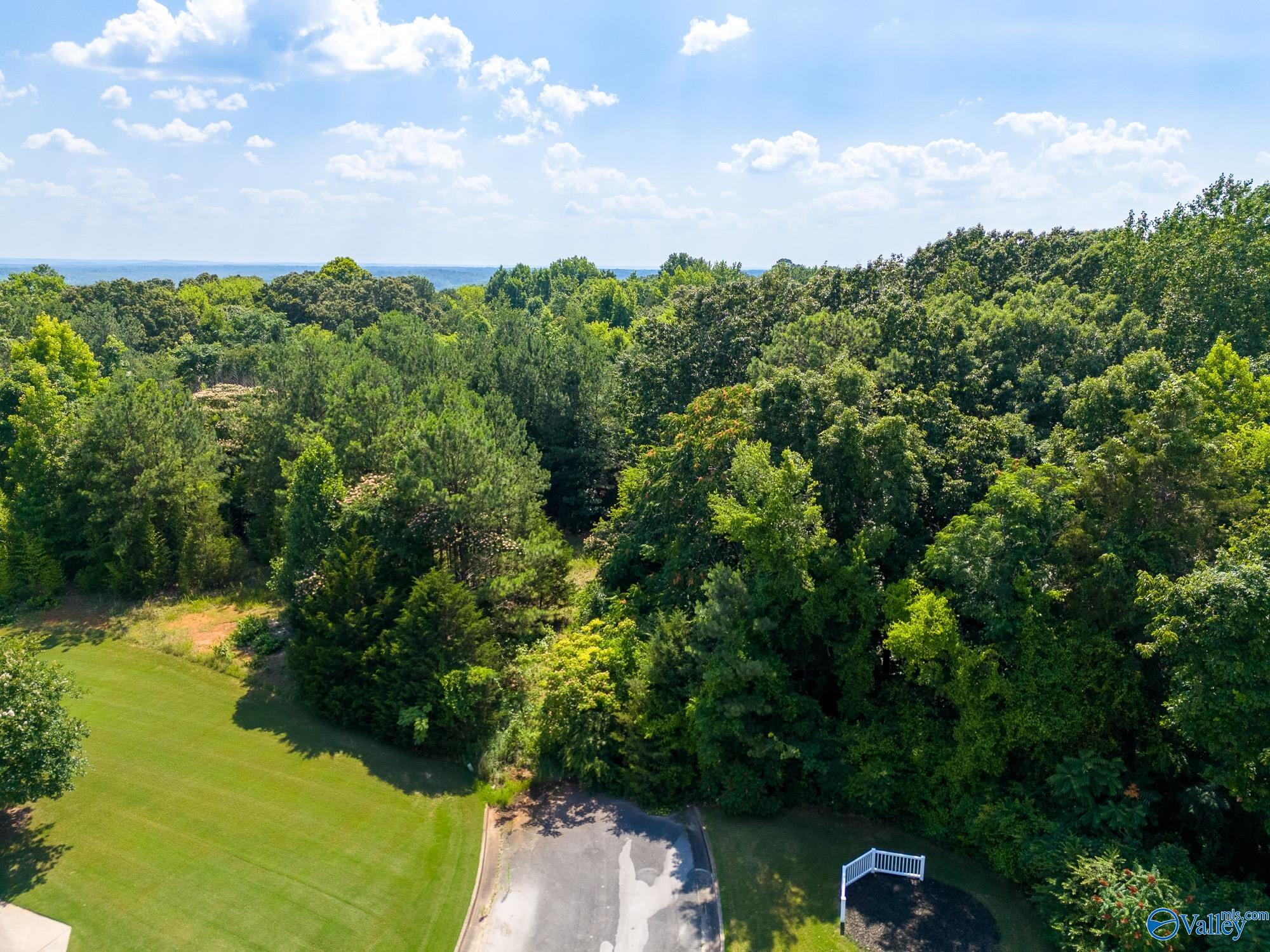 25 Acres Anna Drive, Decatur, Alabama image 1