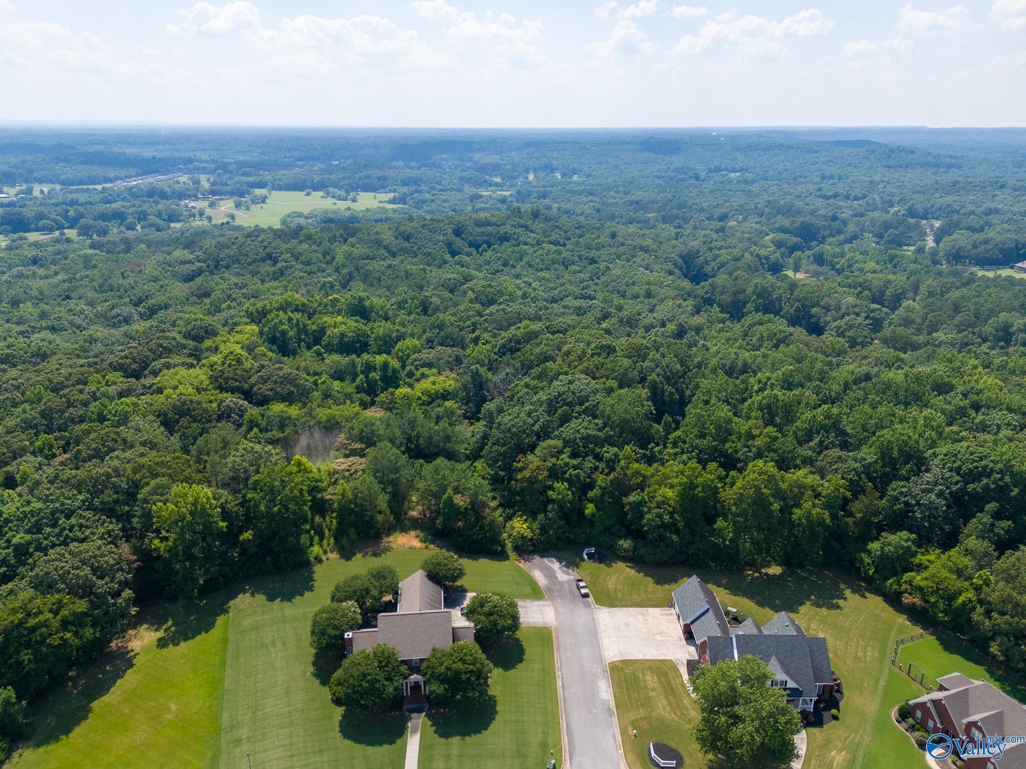 25 Acres Anna Drive, Decatur, Alabama image 2