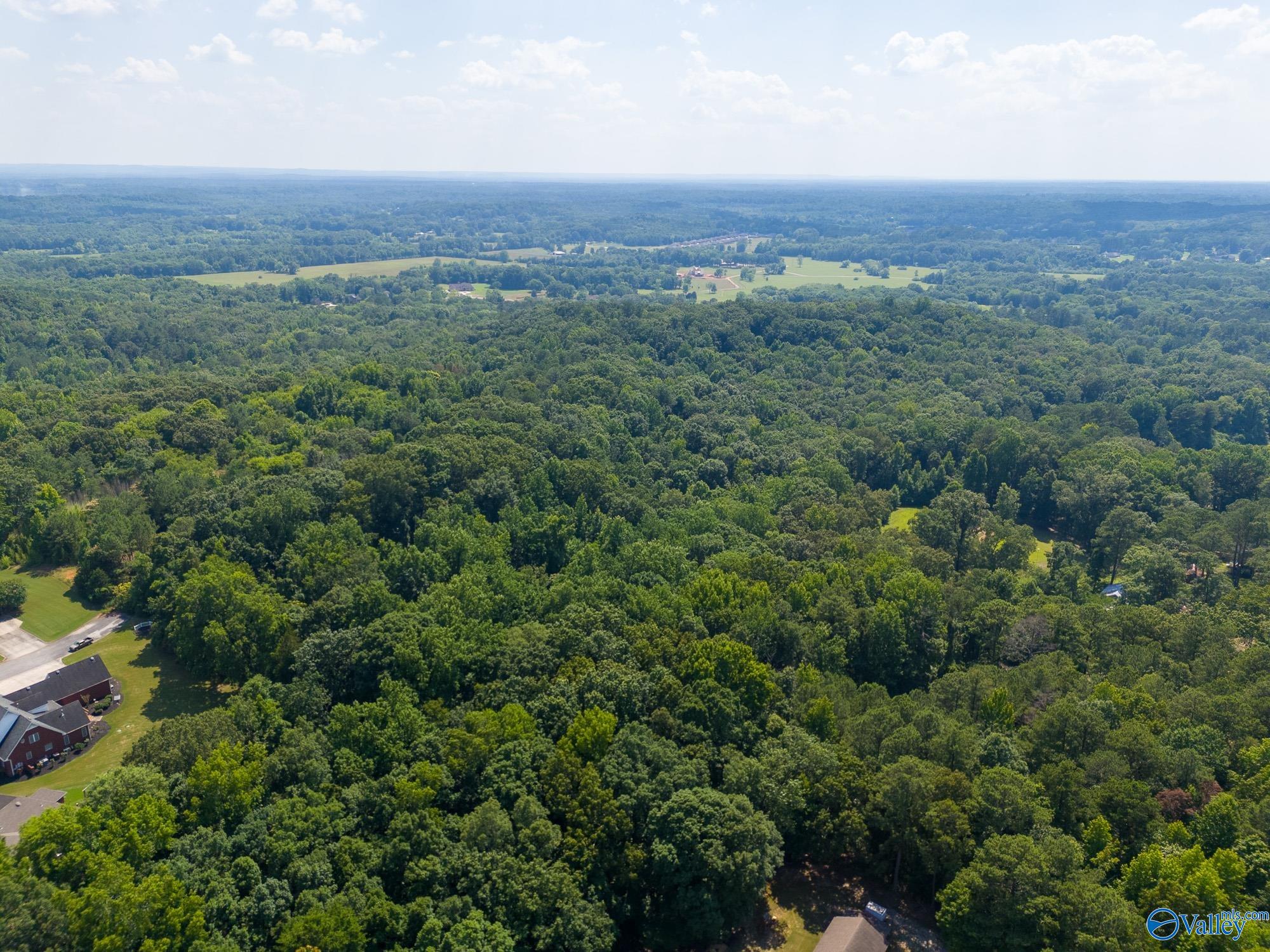 25 Acres Anna Drive, Decatur, Alabama image 3