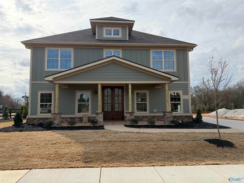 Homes For Sale - 101 Grand Springs Court<br/> Madison, AL 35756