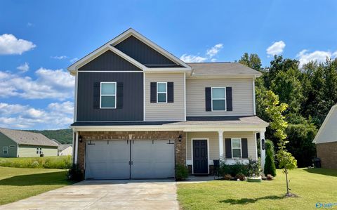 168 Lincoln Gray Circle New Market AL 35761