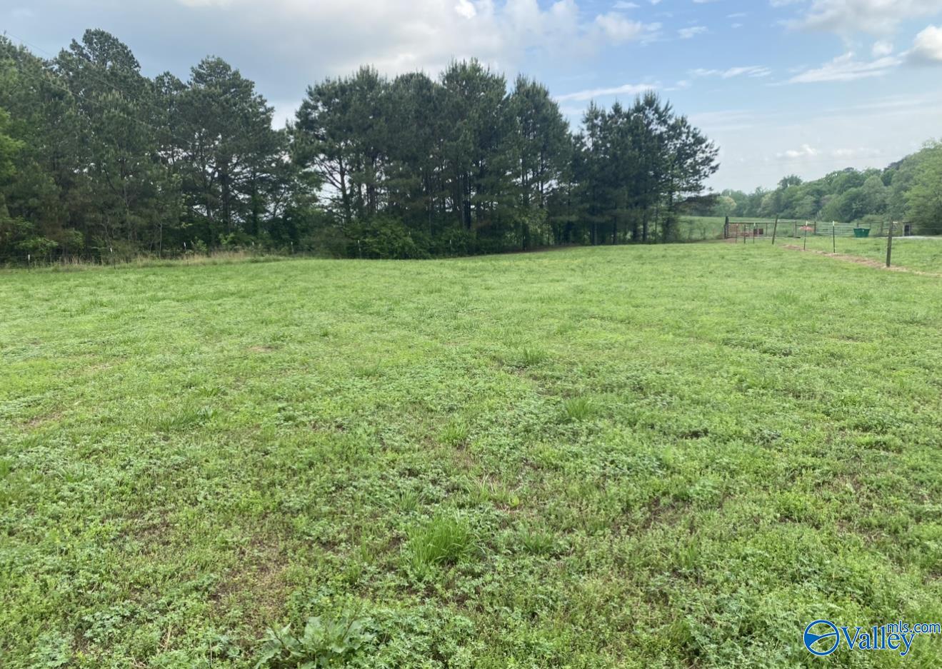 270 County Road 1058, Vinemont, Alabama image 42