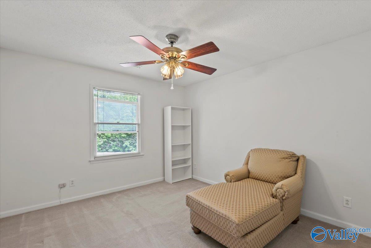 113 Briarwood Drive, Madison, Alabama image 23
