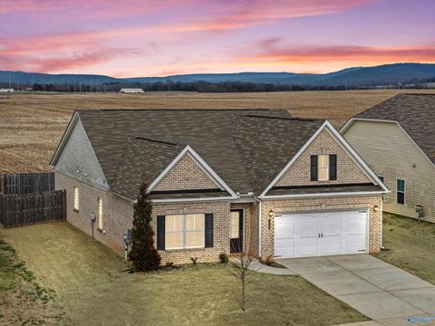 Homes For Sale - 113 Story Ray Drive<br/> New Market, AL 35761